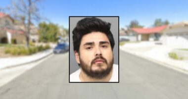 Man stabs woman in the head with a screwdriver, police say