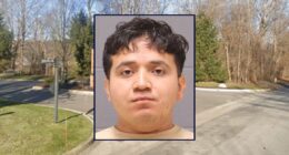 Man who stabbed 11-year-old during sleepover learns his fate