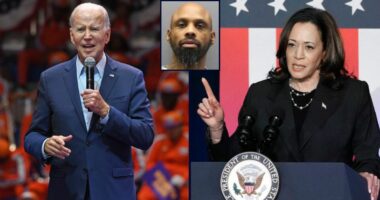 Man who threatened to kill Biden, Harris is sentenced
