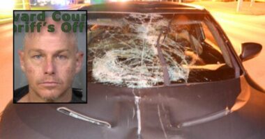 Man with 0.23 BAC rammed into bicyclist from behind