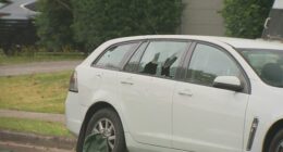 Over a dozen bullets were fired at the white Holden.