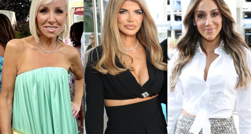 Margaret Josephs Doubts Teresa’s Reconciliation With the Gorgas, Says It Shouldn’t Play Out in the Press and Talks RHONJ Season 14 as Melissa Addresses Fan Doubts About Truce