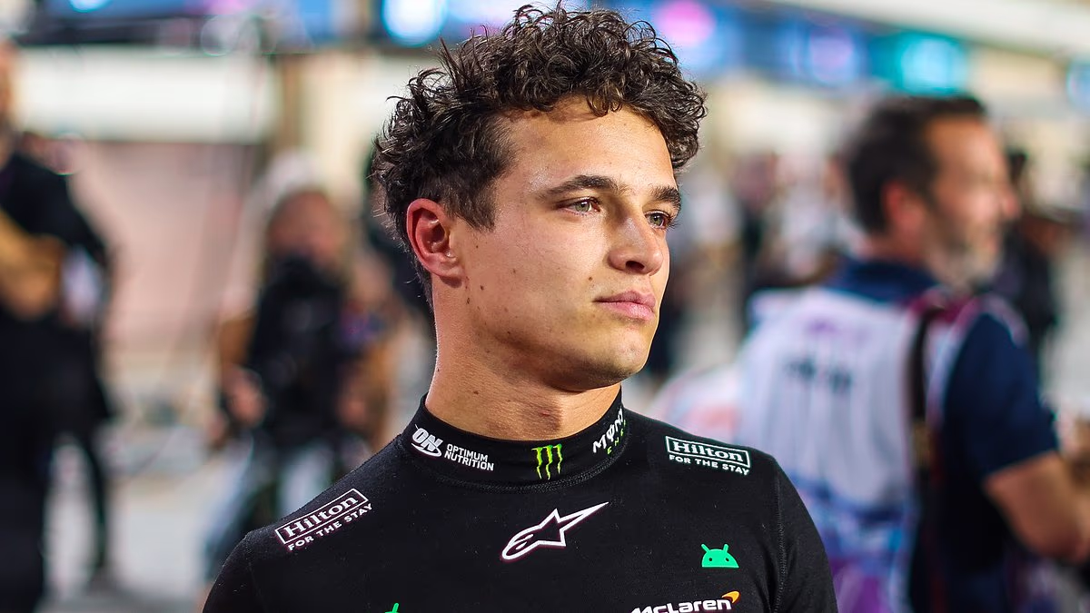 Max Verstappen wins Qatar Grand Prix after McLaren error costs Lando Norris as title battle goes to the final race of the season