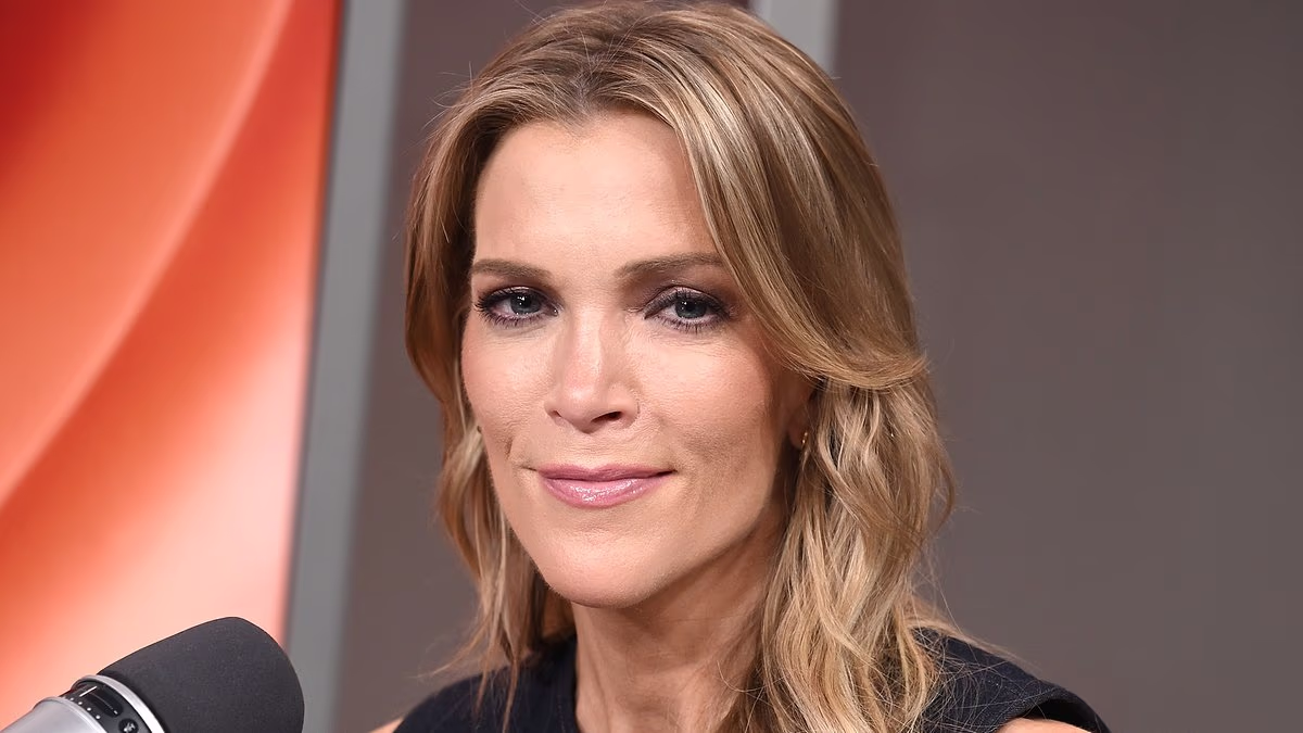 Megyn Kelly sparks anger as she defends Epstein's 'barely legal type'