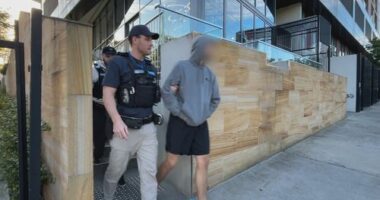 The British national faces deportation if found guilty.