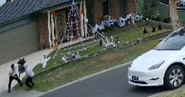 A 14-year-old boy has been injured in a fight that erupted as families celebrated Halloween on a residential street in Melbourne's west.