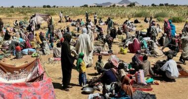 Displaced families from el-Fasher at a displacement camp where they sought refuge from fighting between government forces and the RSF, in Tawila, Darfur region