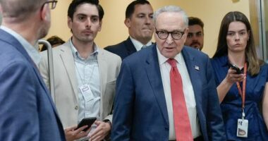 Sen. Minority Leader Chuck Schumer of N.Y., speaks with reporters at the Capitol Subway on day 36th of the government shutdown, Wednesday, Nov. 5, 2025, in Washington.