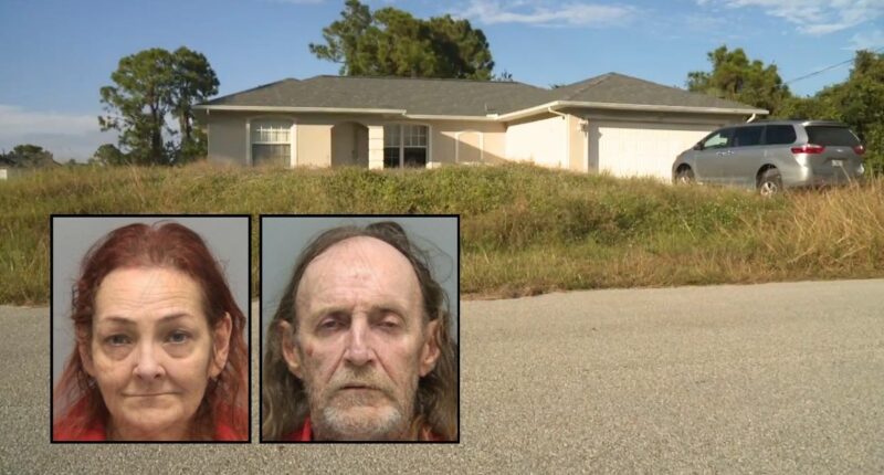 Mom slices family's throats in suicide pact gone wrong: Cops