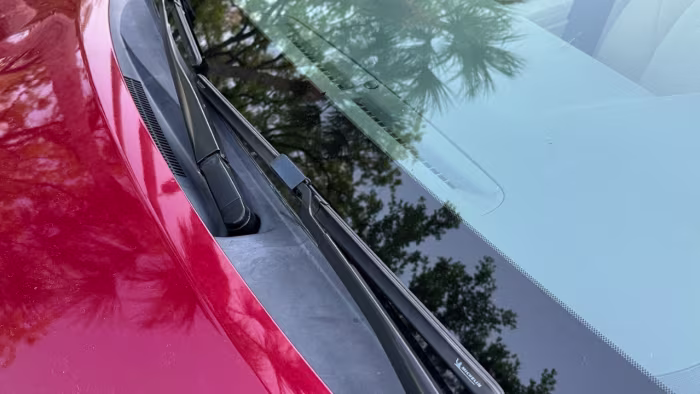 Motorist in North Carolina tells 911: ‘I just had a bald eagle drop a cat through my windshield’