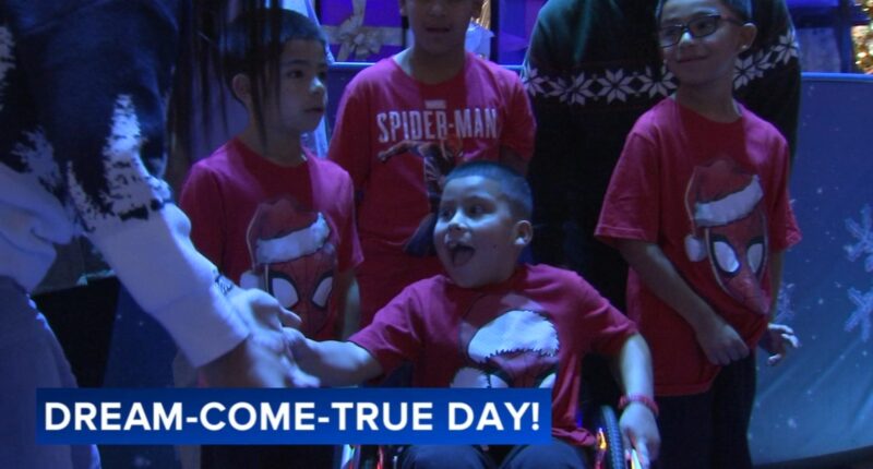 Mundelein boy learns at Chicago Griffin Museum of Science and Industry Spider-Man exhibit he's going to Disneyland