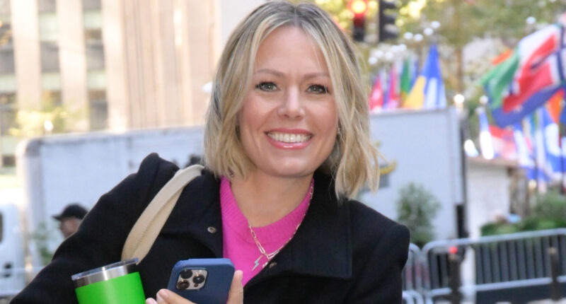 NBC Newscaster Dylan Dreyer's Marriage Was More Doomed Than Anyone Knew