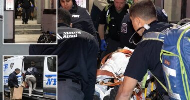 NYC mom stabbed '50 times,' left to die by deranged ex who lurked in NYC stairwell for hours: sources