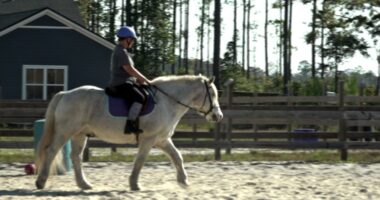 Nassau County residents fight development threatening therapeutic horse ranch