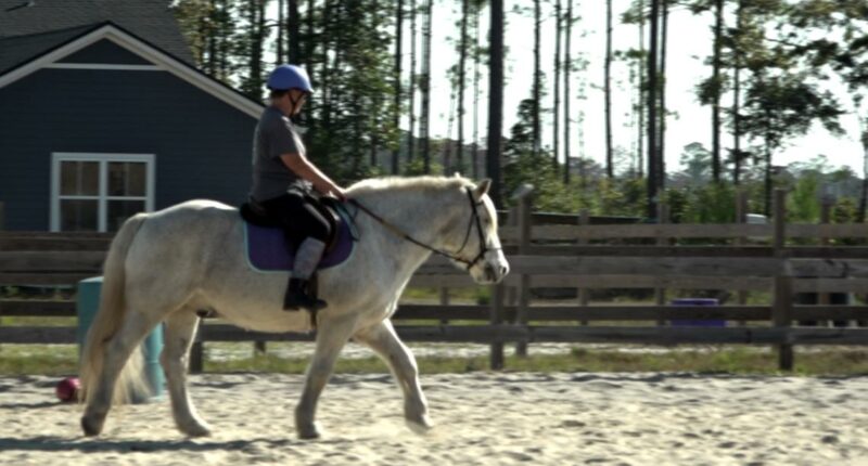 Nassau County residents fight development threatening therapeutic horse ranch