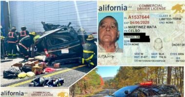 Nationwide Raids Nab 250 Foreign CDL Truck Drivers — DHS Warns Cartel Exploitation Threatens Homeland Security