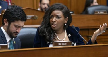 New: Crockett Makes an Absolute Fool Out of Herself in Wild Justification for Epstein Donation Claims