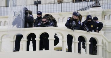 New: Leaked Docs Claim Forensic Evidence Ties Former Capitol Police Officer to Jan. 6 Bomber