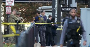 New: Paper Trail Behind Suspect in D.C. NG Terrorist Attack Points Directly to Joe Biden