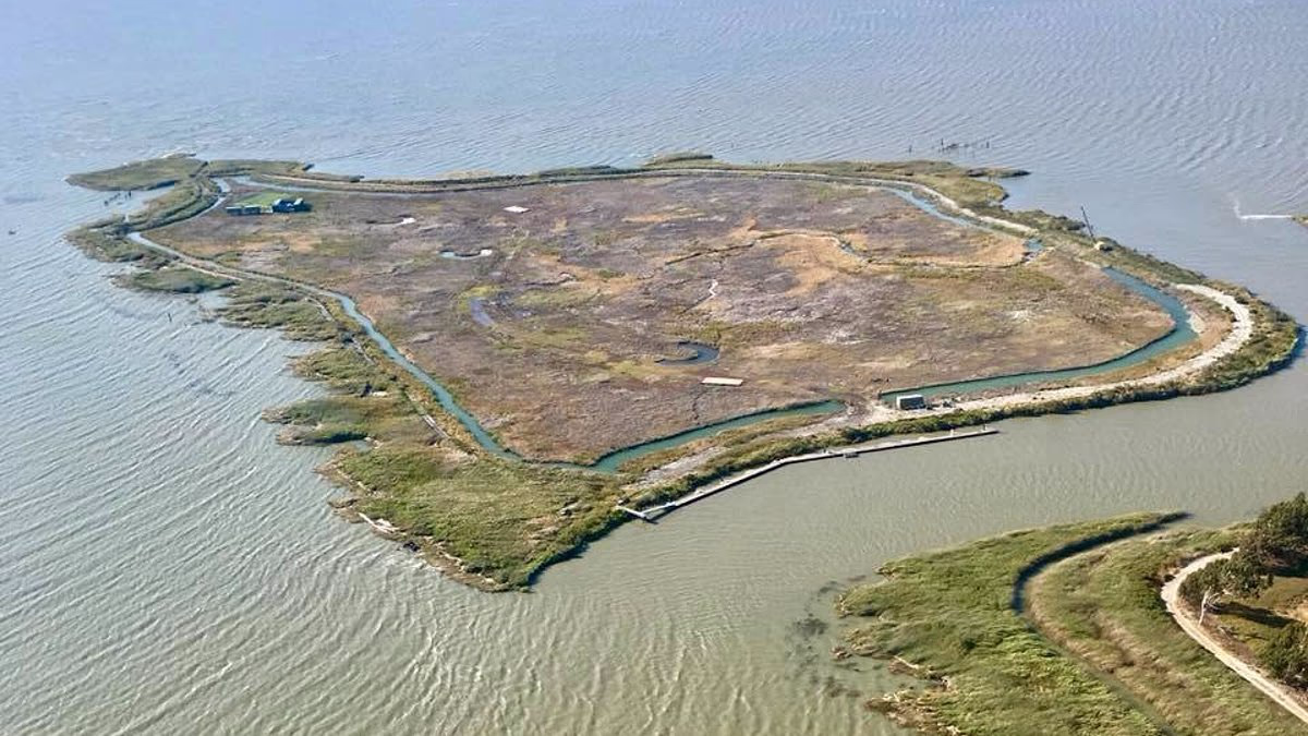 New owners of private island once realize it's 'a death trap'