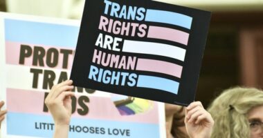 No One Shocked: 'Historic' Former Trans Lawmaker Pleads Guilty to Child Sexual Exploitation