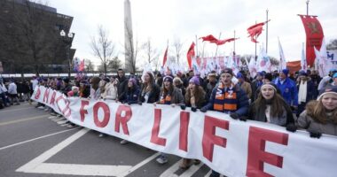 North Dakota Court Restores Near-Total Ban on Abortion