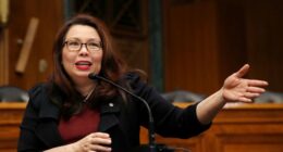 Nothing to See Here, Just a Democrat Senator's Staffer Posing As a Lawyer to Help Free an Illegal Alien