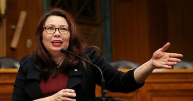 Nothing to See Here, Just a Democrat Senator's Staffer Posing As a Lawyer to Help Free an Illegal Alien