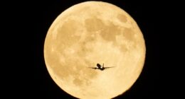 November’s Super Beaver Moon will be the closest and brightest of the year