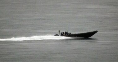 Oh, No. The War Powers Posse Comes After President Trump Over His Attacks on Drug Cartels