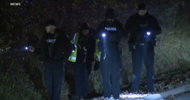 Ohio news: 9 injured in Bath Township shooting at birthday party held at large Airbnb include children, adults