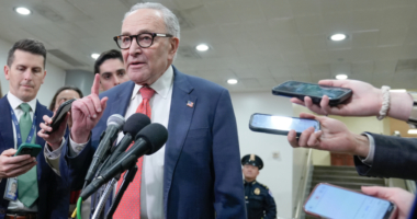 On the shutdown, Democrats have painted themselves into a corner