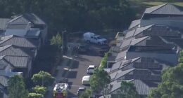 The attack happened behind a school in Sydney's north-west, resulting in a 17-year-old boy dying from stab wounds.