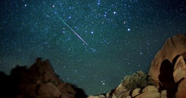 One of the year’s best meteor shows peaks this weekend: Here's when and where to watch