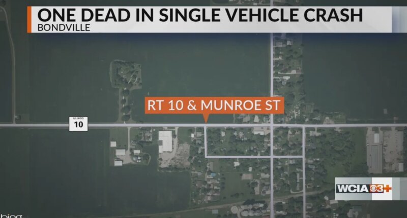 One person dies after truck hits tree in Champaign Co. Saturday night