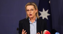 Opposition announces energy plan after net zero abandoned