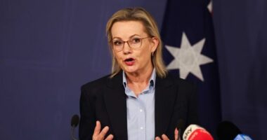 Opposition announces energy plan after net zero abandoned