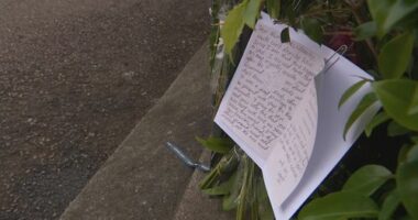 P-plater accused of killing pregnant woman in Sydney refused bail