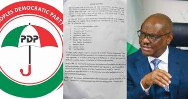 PDP expels Wike, Fayose, Anyanwu, others over anti-party activities