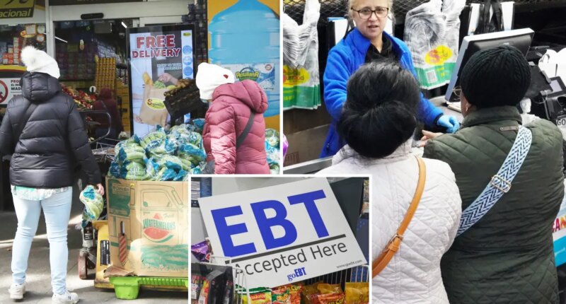 Panic sets in for New Yorkers as SNAP benefits dry up