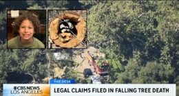 Parents sue after son, 8, killed by tree branch at camp