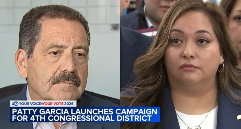 Patty García launches campaign for Illinois' 4th Congressional District after US Rep. Jesús 'Chuy' García's controversial exit