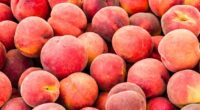 Peaches recalled nationwide over listeria concerns