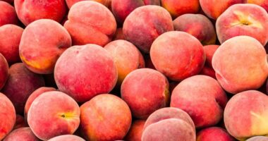 Peaches recalled nationwide over listeria concerns