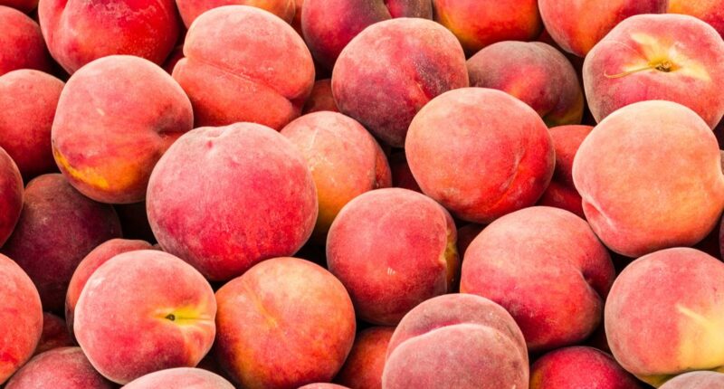 Peaches recalled nationwide over listeria concerns