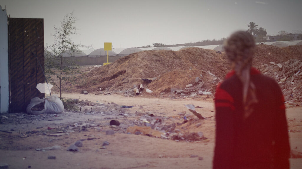 Pentagon’s $500 Million Gaza Border Base Plan Exposed