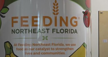 'People are hurting:' Jacksonville City Council allocates $200K to Feeding Northeast Florida to help tackle food insecurity