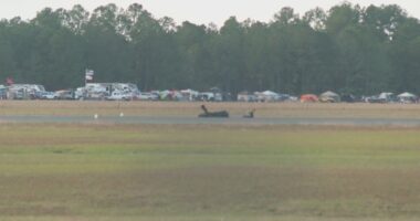 Pilot of small plane killed in crash at Keystone Heights Airport in Starke, police say