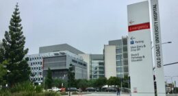 Gold Coast University Hospital, where a man is in a critical condition after allegedly being involved in a brawl that left another man dead in northern NSW.