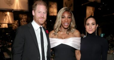 Prince Harry and Meghan Markle pictured at glitzy celeb gala as royals mark Remembrance
